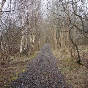 More of the Arbroath and Forfar railbed - pettifoggist