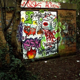 Grafitti Revolution - wit