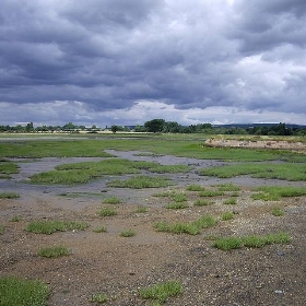 Salt marshes in Chichester Harbour - Margaret Anne Clarke