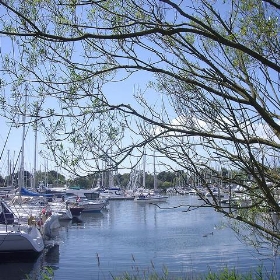 View of Chichester Marina - Margaret Anne Clarke