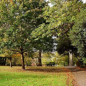 Westow Park, London Borough of Croydon, SE19 - Ewan-M