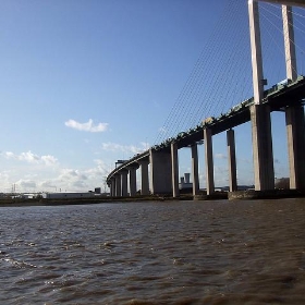 Thames river tour, Dartford Bridge - daisybush