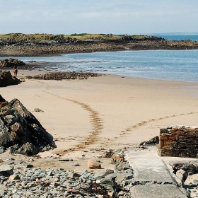 Horse tracks on the beach - telex4