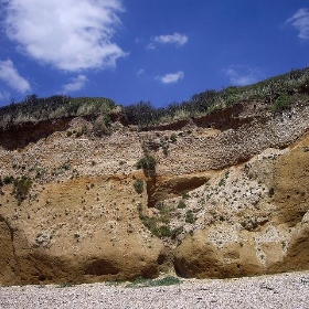 Cliff face on coast south of Fareham 1 - Margaret Anne Clarke