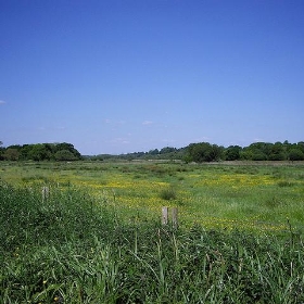 Looking over Titchfield Haven - Margaret Anne Clarke