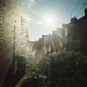 Sunlight on Raglan Street - Ben Sutherland