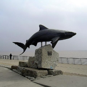Shark Statue - Neil T