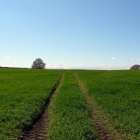 Meadow outside Bookham Common - lostajy