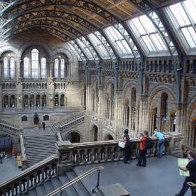 Natural History Museum - London - srboisvert