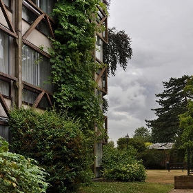 the smithsons, garden building, st. hilda's college, oxford 1967-1970 - seier+seier
