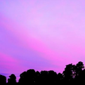 Purple sky - ceasedesist