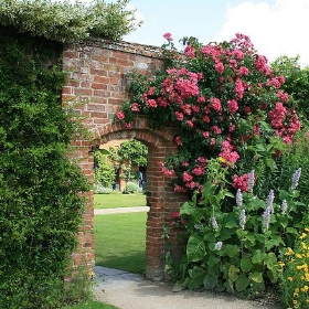 Archway onto the front lawn - jo-h