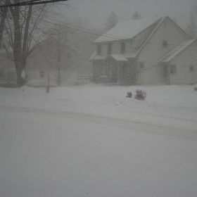 Stirling Snow 0009 - Bobolink