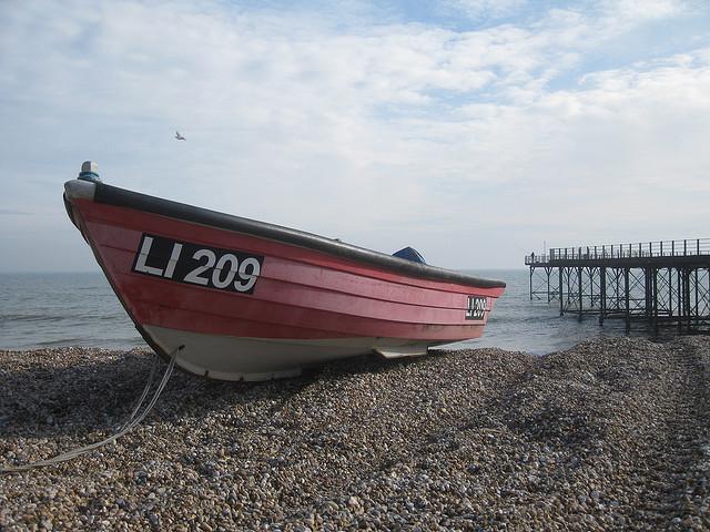 LI 209