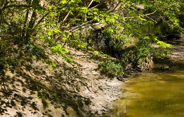 Shadowed Clay Bank