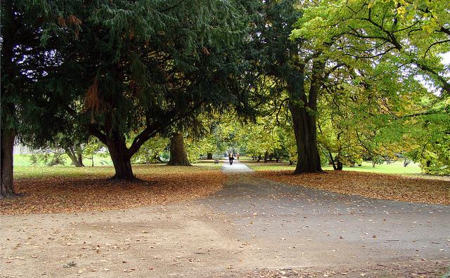 An Autumn Stroll