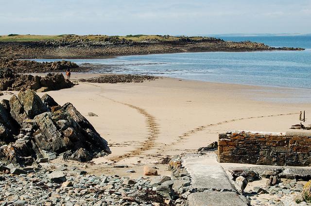 Horse tracks on the beach
