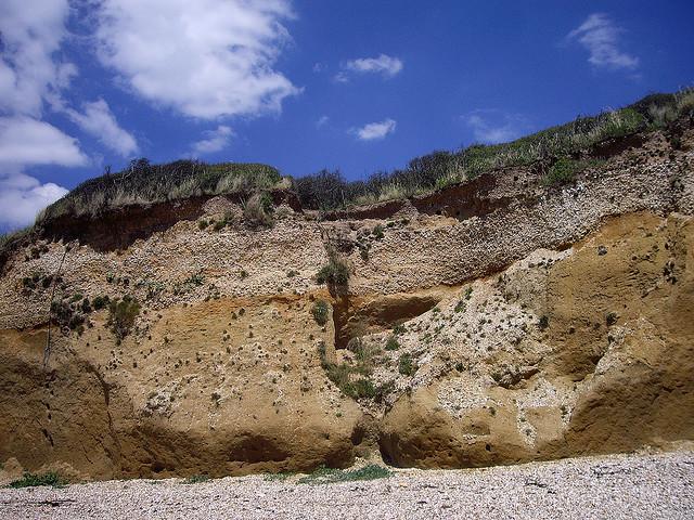 Cliff face on coast south of Fareham 1