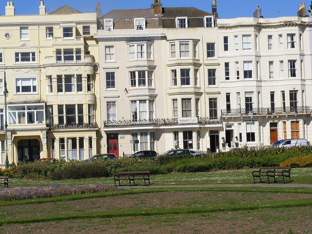 Shane Global Hastings