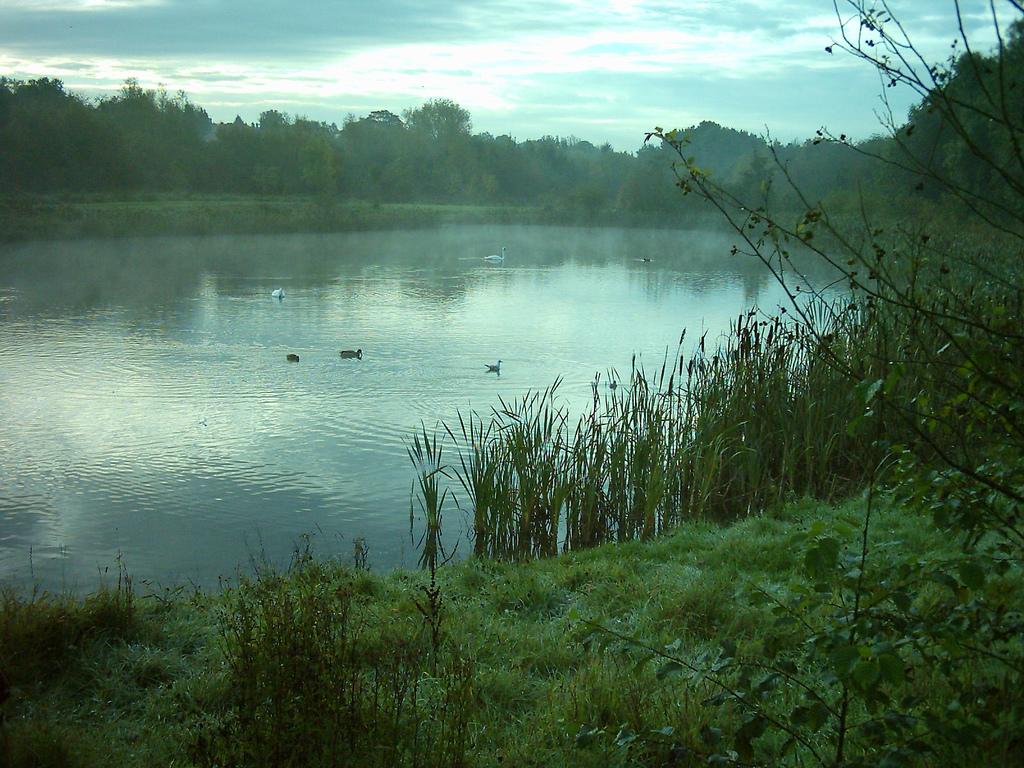 Straws bridge