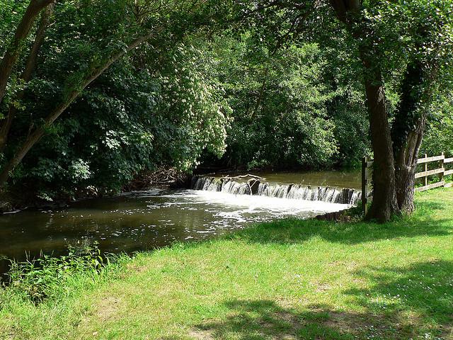 The river Mole, Leatherhead