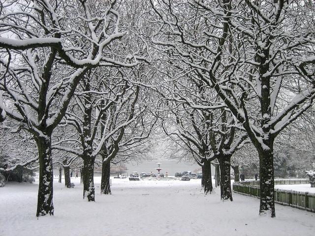 Poole Park in the snow