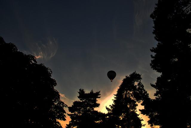 Goodnight, Balloon