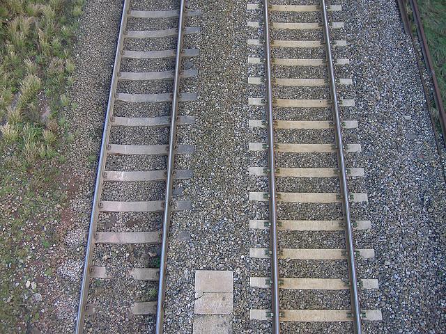 DSCF7071