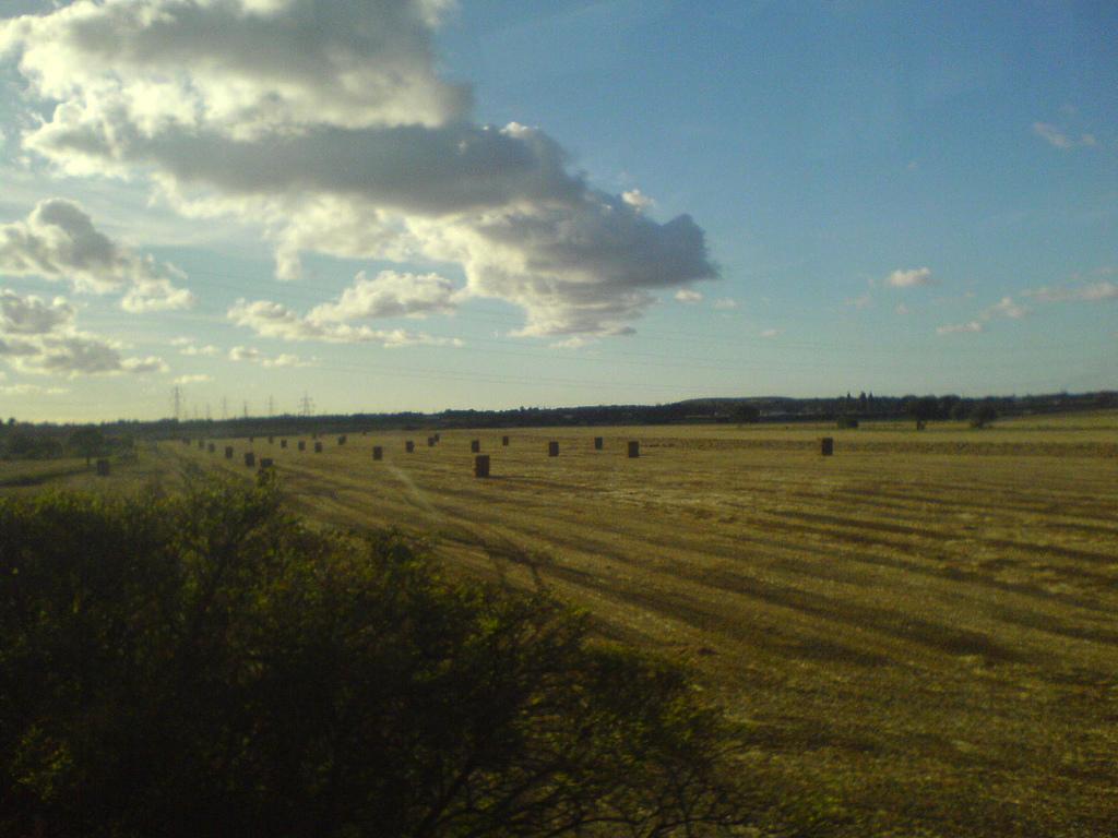 Widnes Monolith Farm