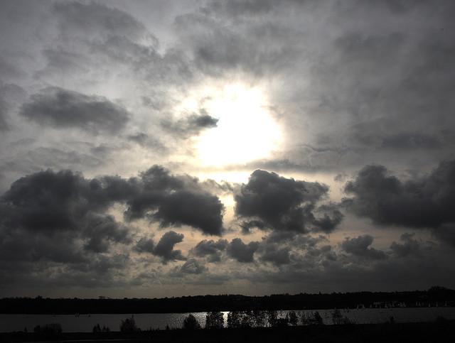 there is beauty in the dullest of days