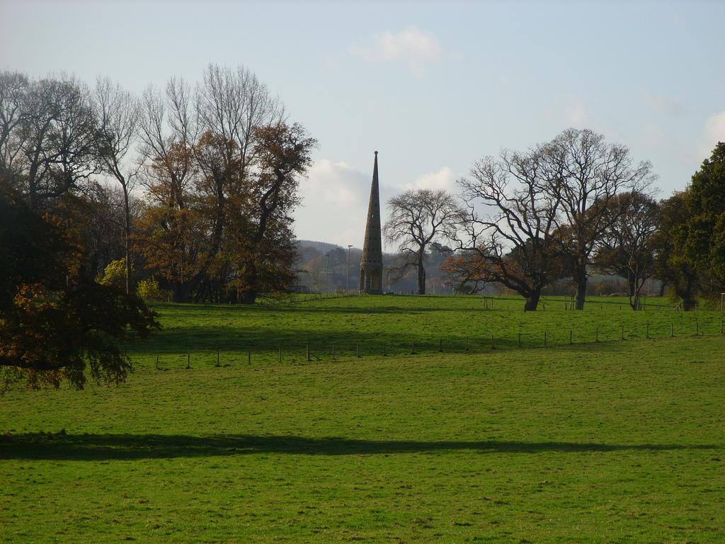 THE ROSE TOWER 1