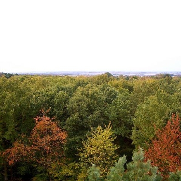 Northampton