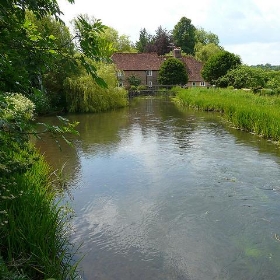 River Test, Hampshire - Mike Cattell