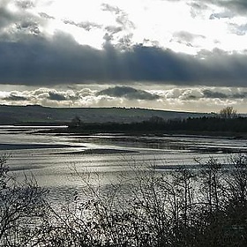 The Taw Estuary - me'nthedogs