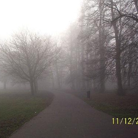 Foggy park - jf1234