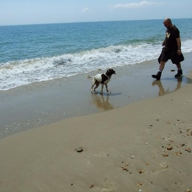 Bournemouth - priscillajp