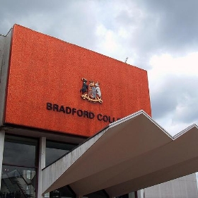 Bradford College, West Yorkshire - daisybush