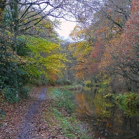 Last colours of autumn - Tim Green aka atoach