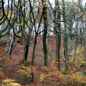 Ridgeway walk - missy & the universe