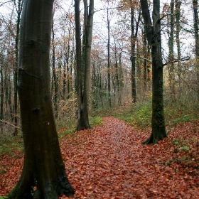 Ridgeway walk - missy & the universe