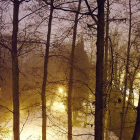 Tree lights - ~Duncan~