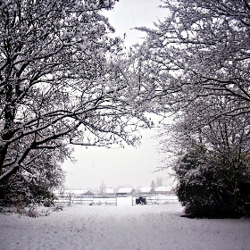 Snow Days 2010 @ Doncaster - rachyyx