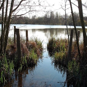 Eastleigh - Lakeside country park, April 09(21) - carlarjacobs