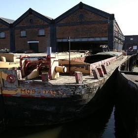Orginal Narrowboat and Wide Boat - Dave Hamster
