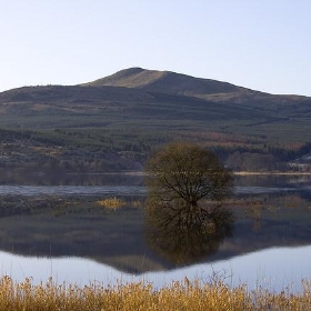 Carron Valley Reservoir - Son of Groucho