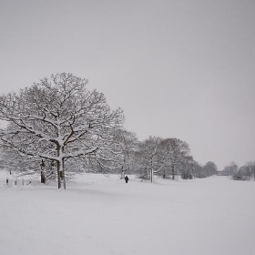 Snowy Guildford - m0dlx