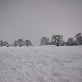 Snowy Guildford - m0dlx