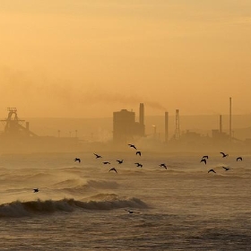 Seaton Carew - Delmonti
