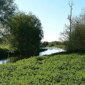 Along the River in Leatherhead - lostajy