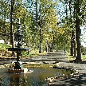 Terrace, The Arboretum, Lincoln - Lincolnian (Brian) - BUSY